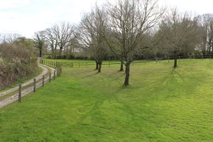 Photo 12- click for photo gallery